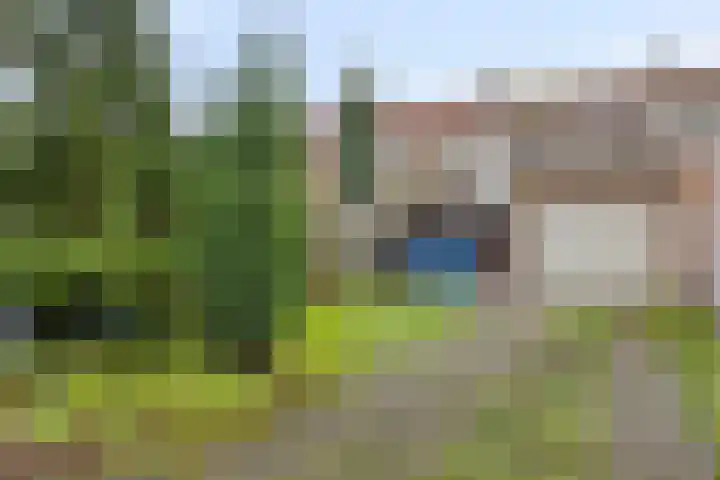 Poeldijk 21 Sas van Gent thumbnail 22