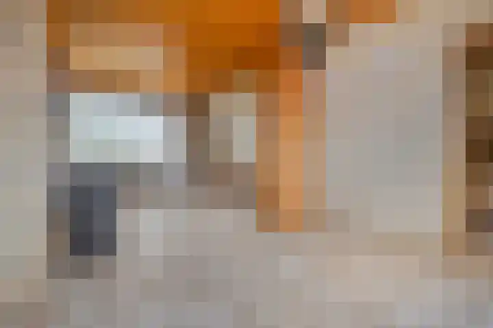 Poeldijk 21 Sas van Gent thumbnail 6
