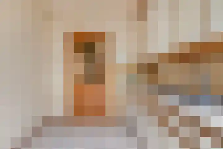Poeldijk 21 Sas van Gent thumbnail 8