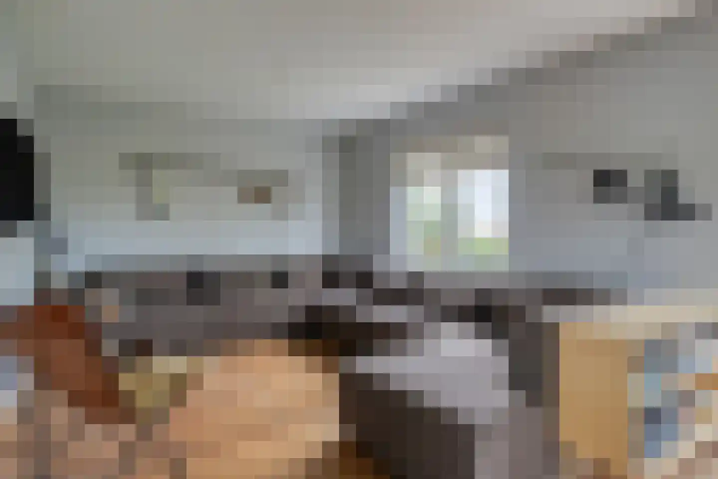 Poeldijk 8 a Rijpwetering thumbnail 7