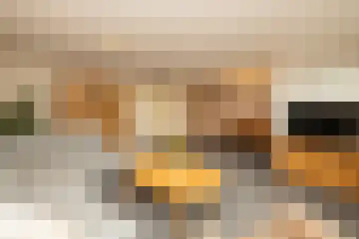 Poeldijksepad 2 I Honselersdijk thumbnail 10