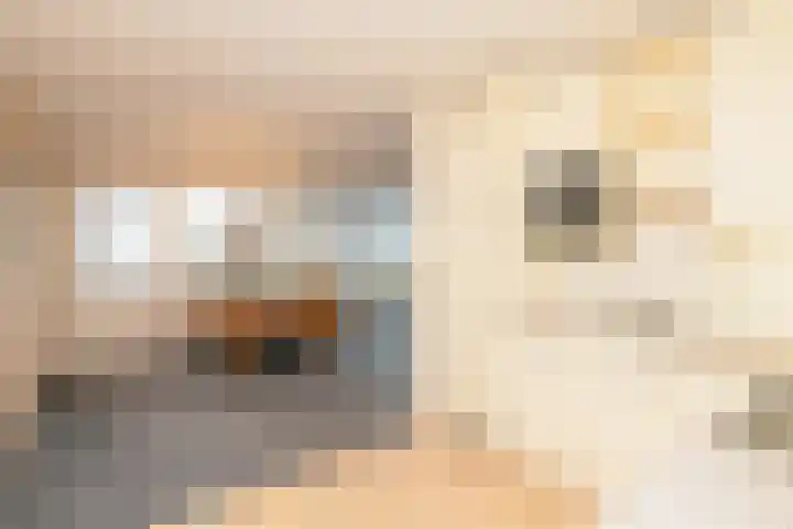 Poeldijksepad 2 I Honselersdijk thumbnail 13
