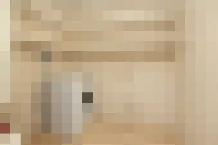 Poeldijksepad 2 I Honselersdijk thumbnail 14