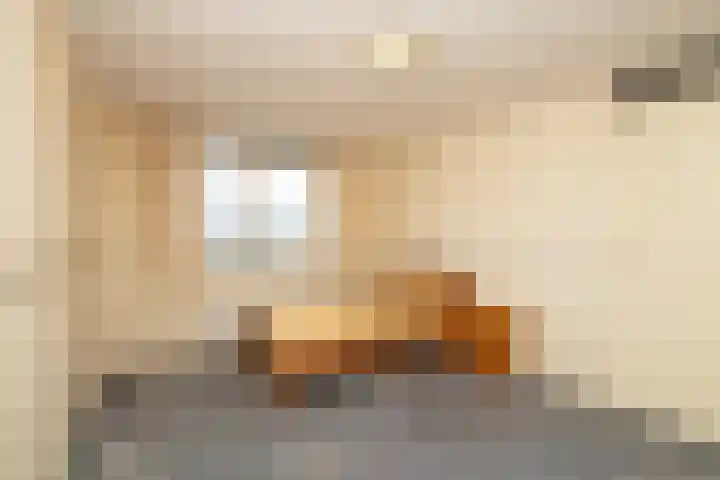 Poeldijksepad 2 I Honselersdijk thumbnail 20
