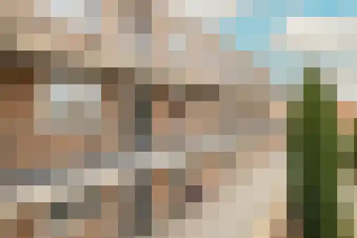 Poeldijksepad 2 I Honselersdijk thumbnail 28