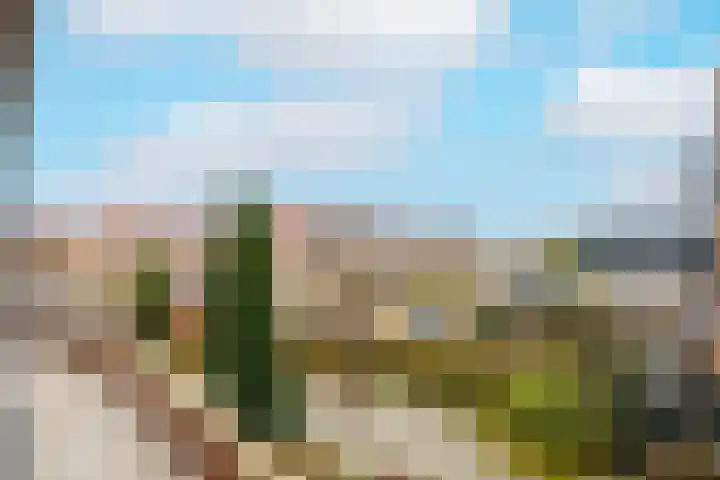 Poeldijksepad 2 I Honselersdijk thumbnail 29