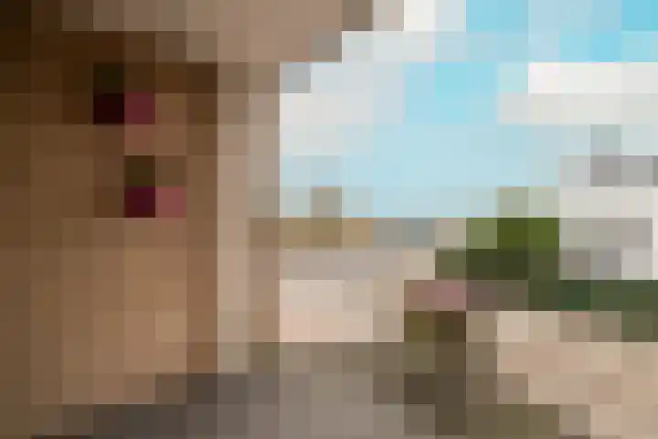 Poeldijksepad 2 I Honselersdijk thumbnail 4