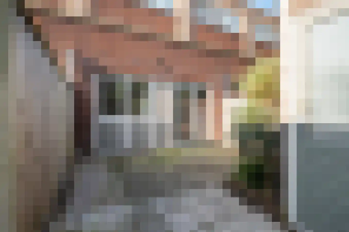 Poeldijksepad 4 F Honselersdijk thumbnail 11