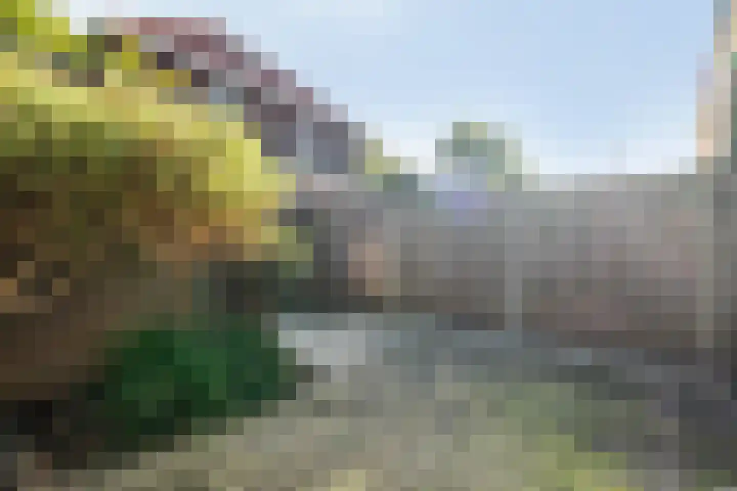 Poeldijksepad 4 F Honselersdijk thumbnail 12
