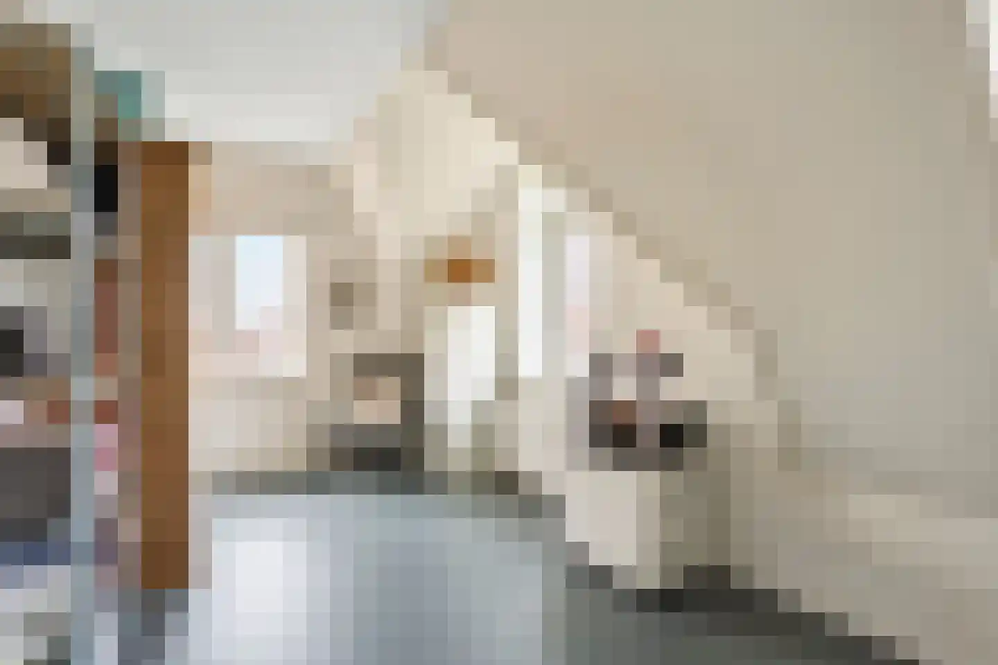 Poeldijksevaart 15 Poeldijk thumbnail 35