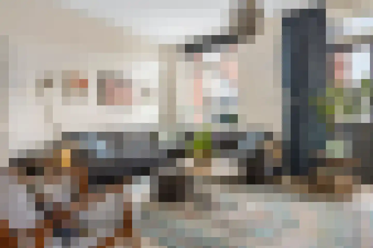 Poeldijksevaart 15 Poeldijk thumbnail 7