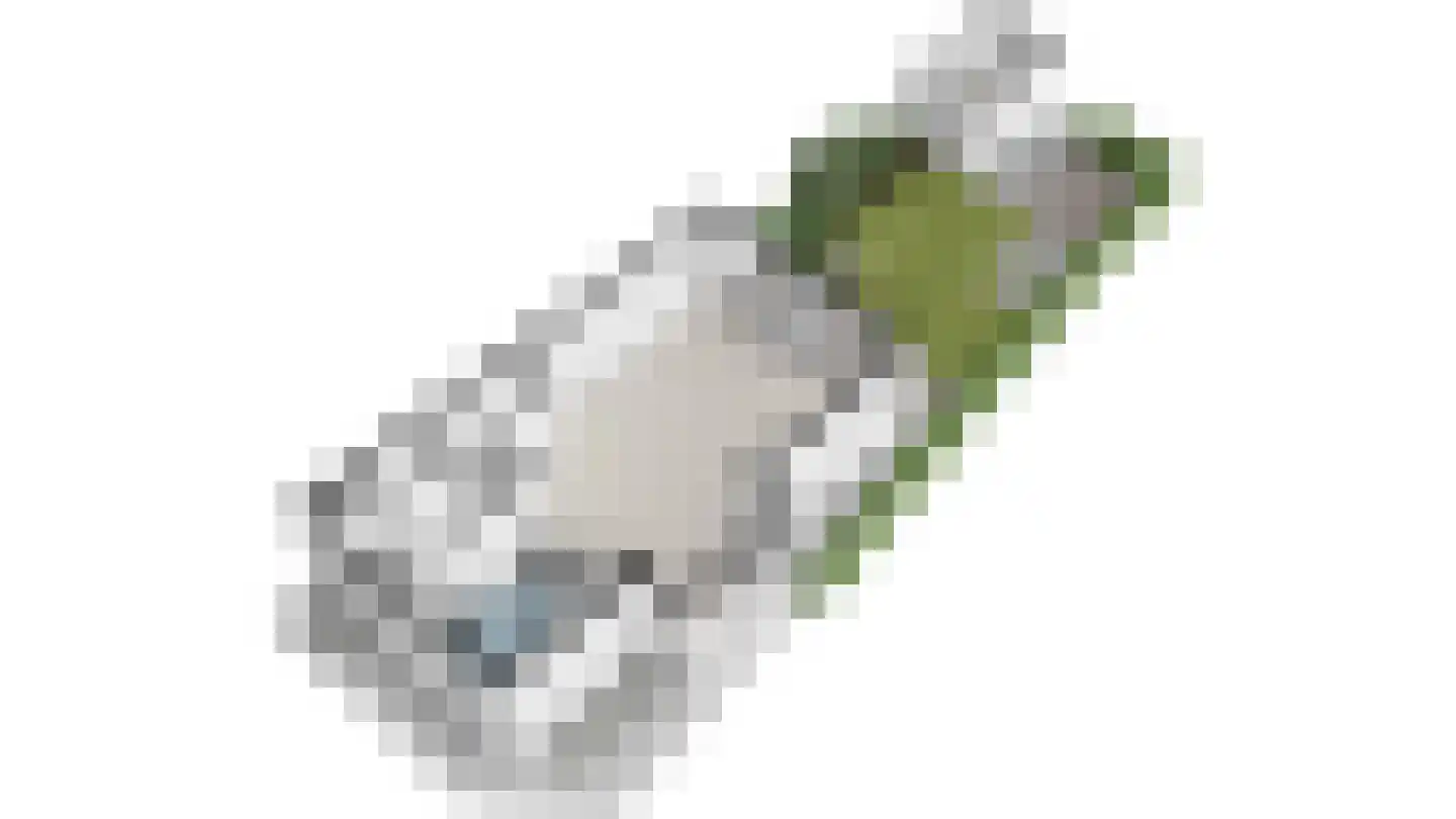 Poeldijksevaart 15 Poeldijk thumbnail 78