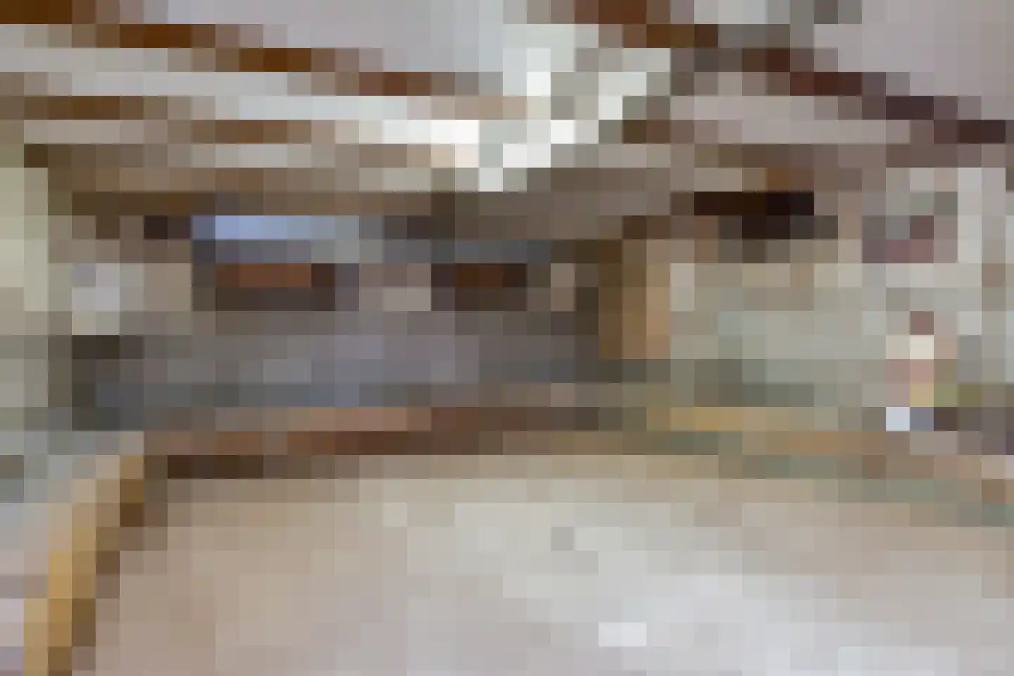 Poeldijkseweg 13 Wateringen thumbnail 36