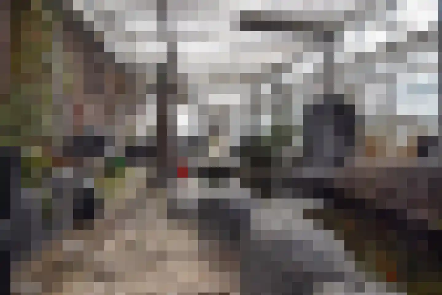 Poeldijkseweg 13 Wateringen thumbnail 41