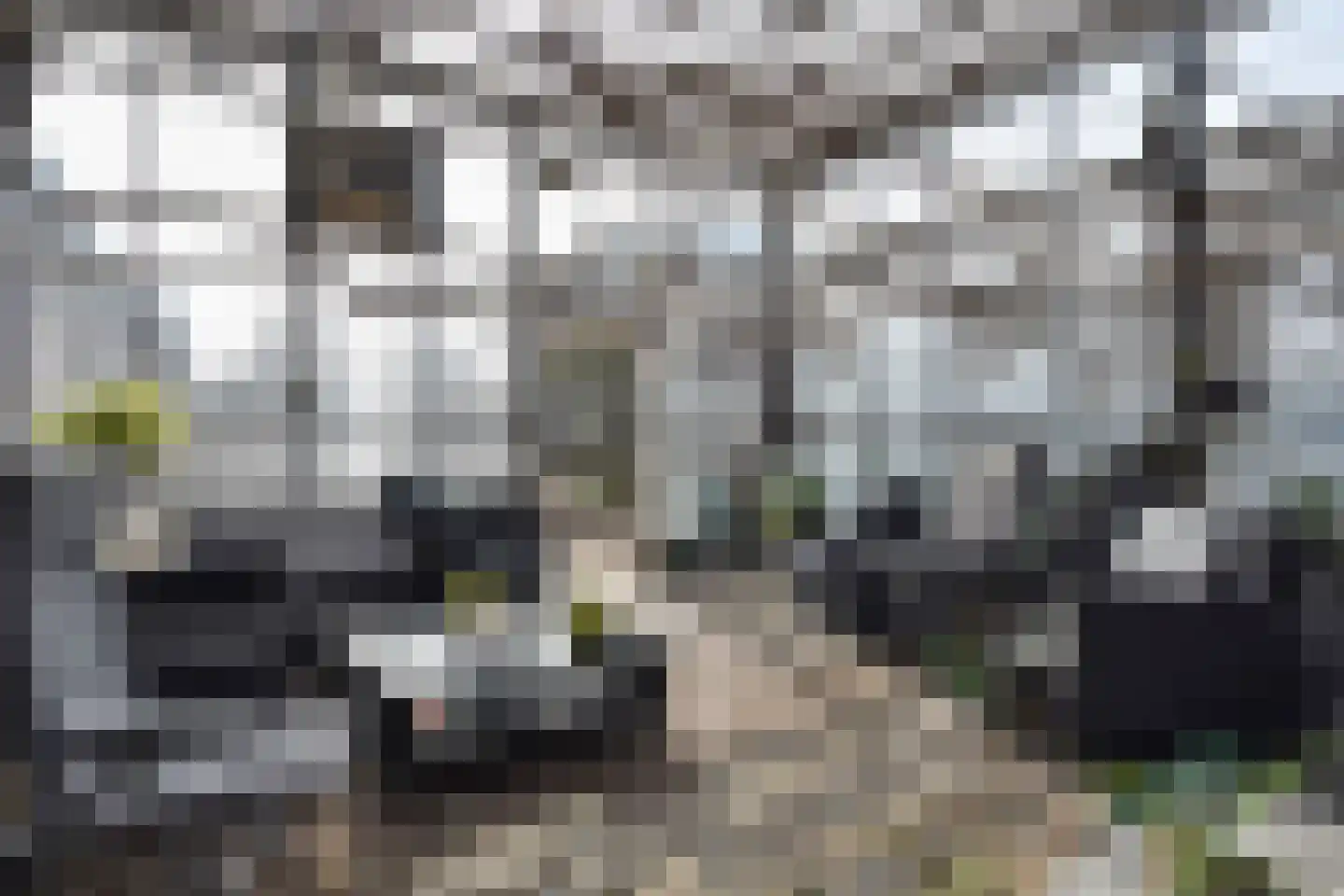 Poeldijkseweg 13 Wateringen thumbnail 42