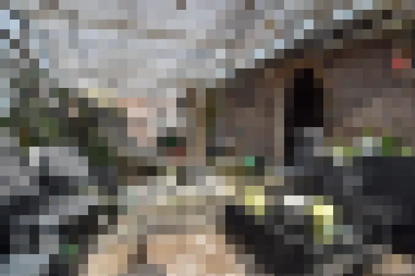 Poeldijkseweg 13 Wateringen thumbnail 43