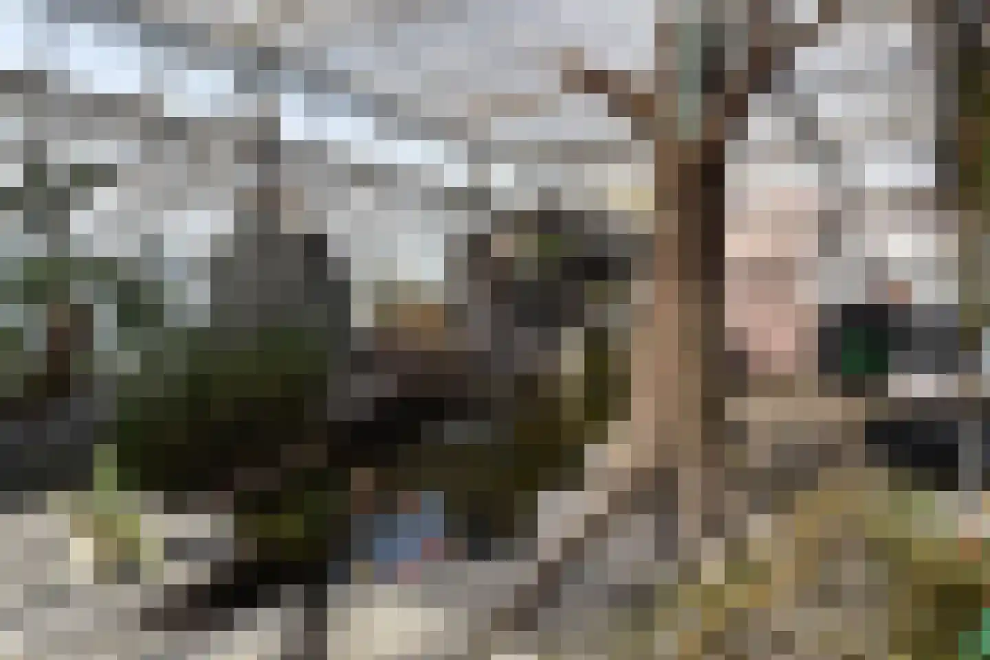 Poeldijkseweg 13 Wateringen thumbnail 44