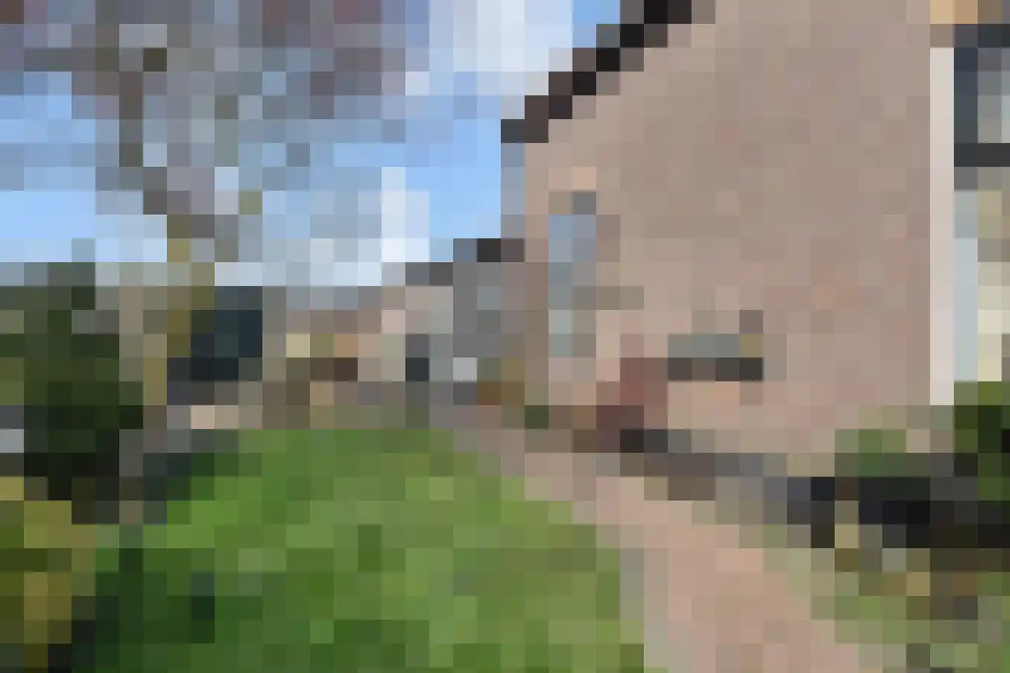 Poeldijkseweg 13 Wateringen thumbnail 48