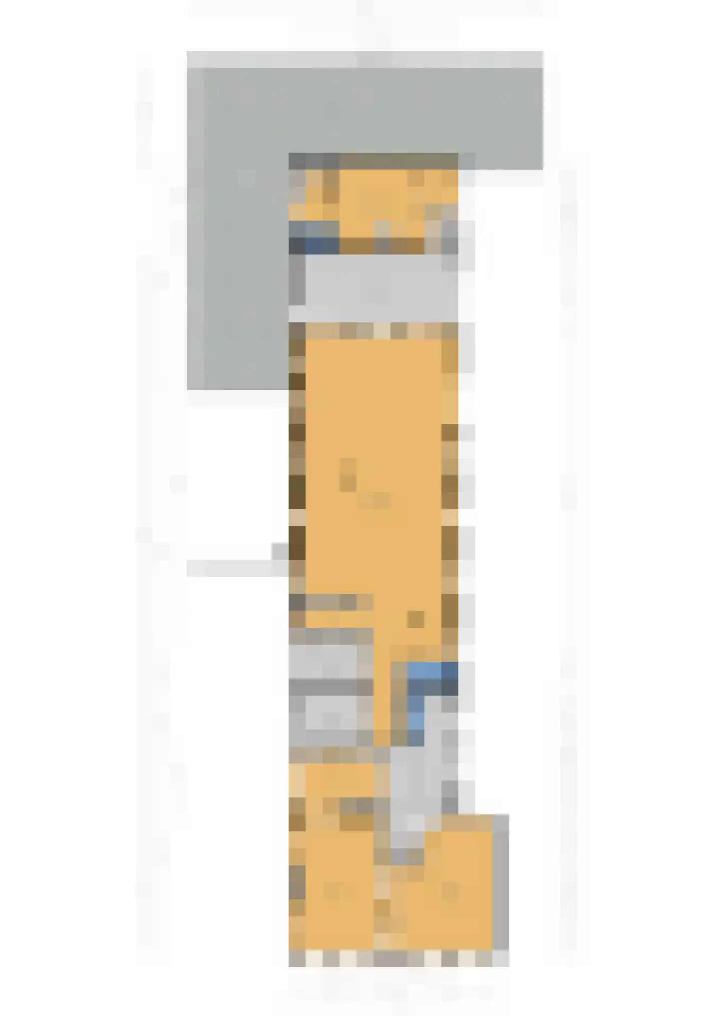 Poeldijkseweg 13 Wateringen thumbnail 52