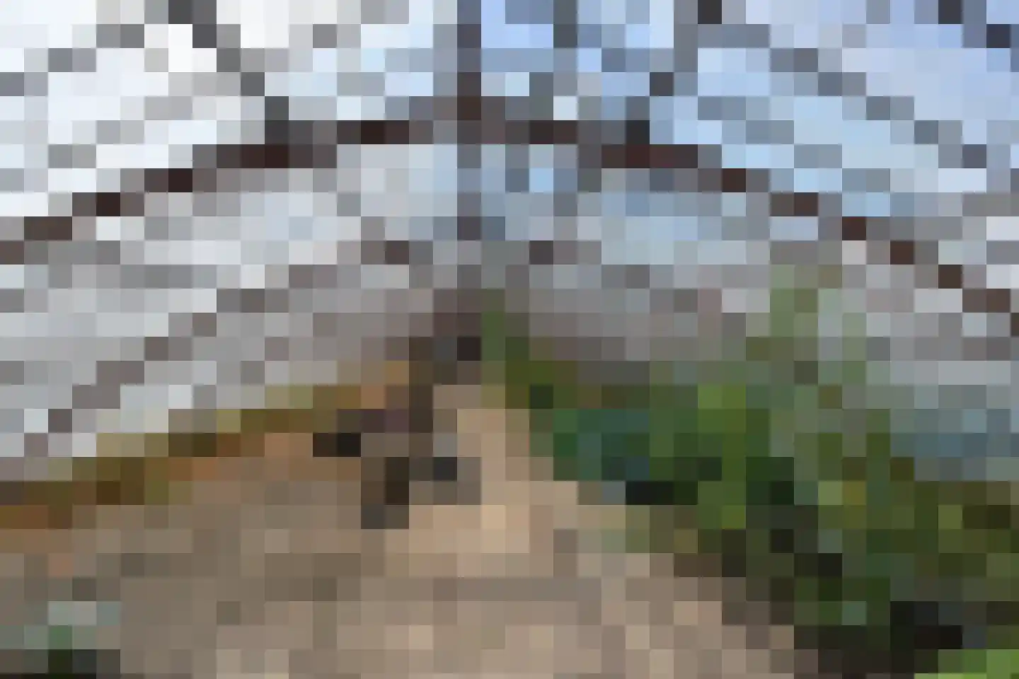 Poeldijkseweg 14 Monster thumbnail 13