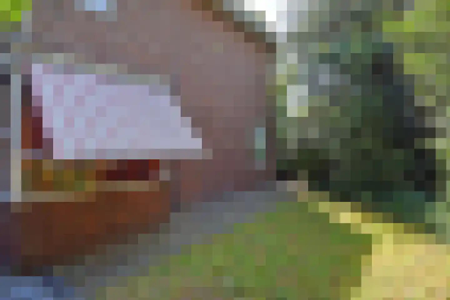 Poeldijkseweg 14 Monster thumbnail 30