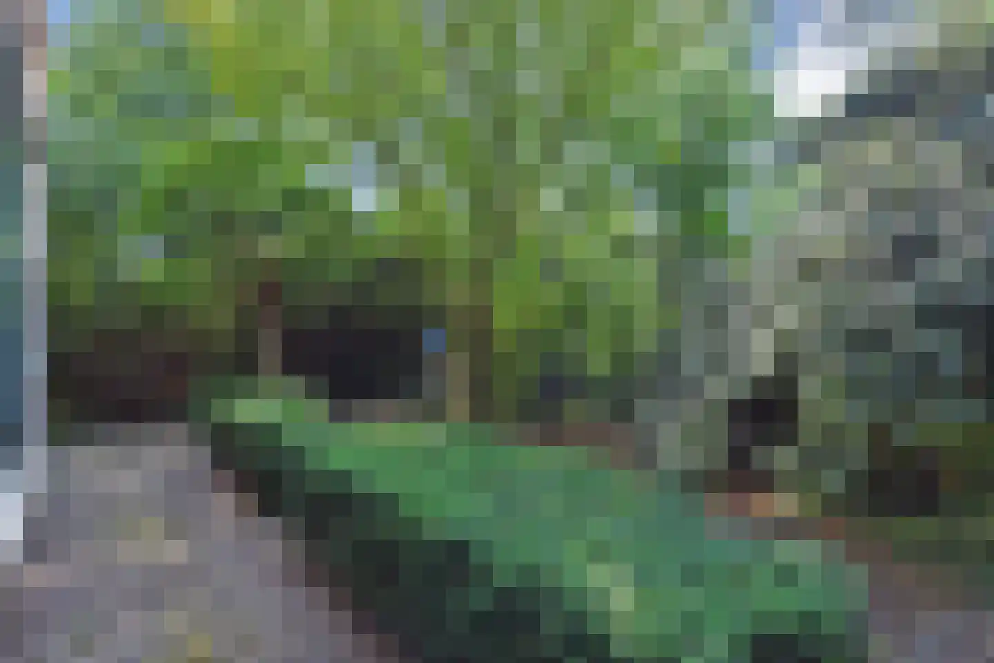 Poeldijkseweg 14 Monster thumbnail 32