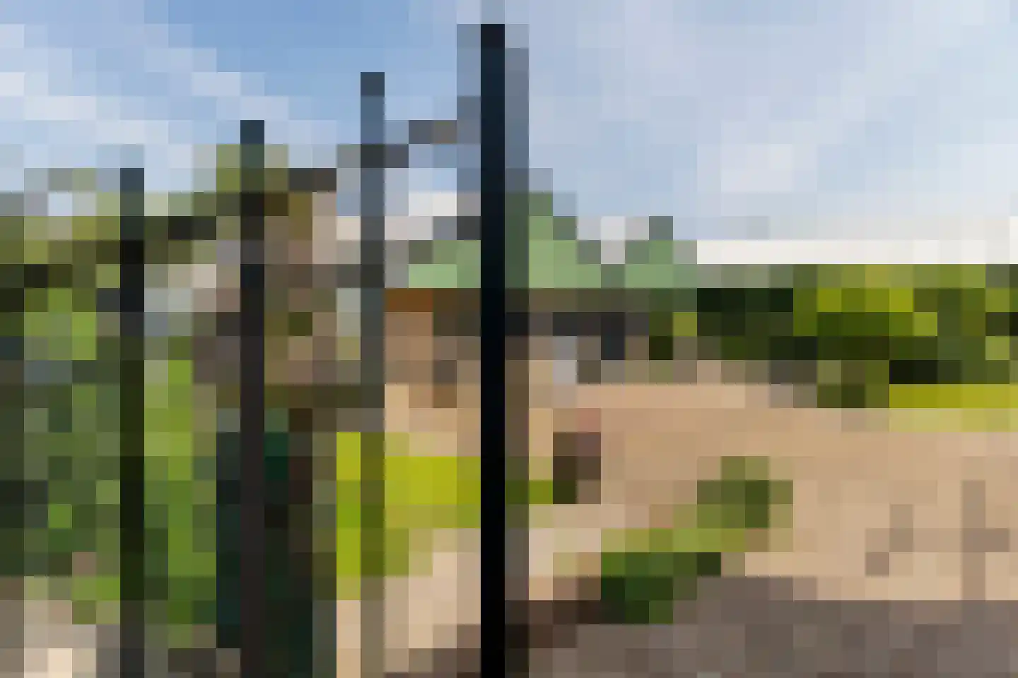 Poeldijkseweg 51 Monster thumbnail 45