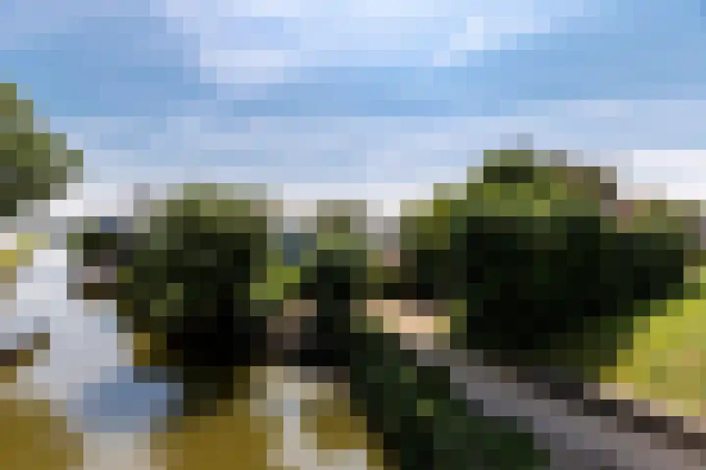 Poeldijkseweg 51 Monster thumbnail 58