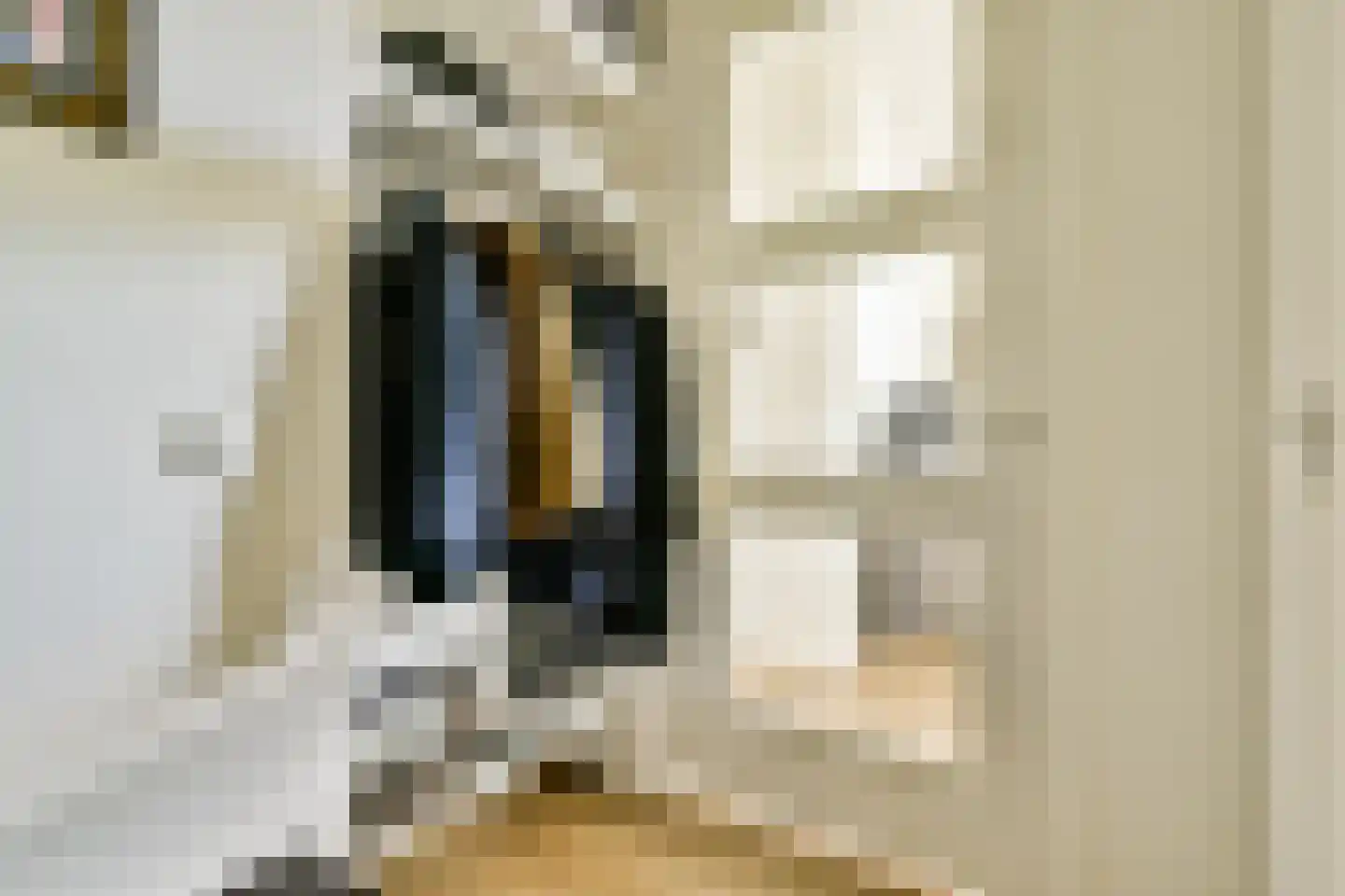 Poeldijkstraat 339 Amsterdam thumbnail 6