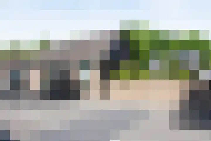 Poeldonk 20 en Den Dungen