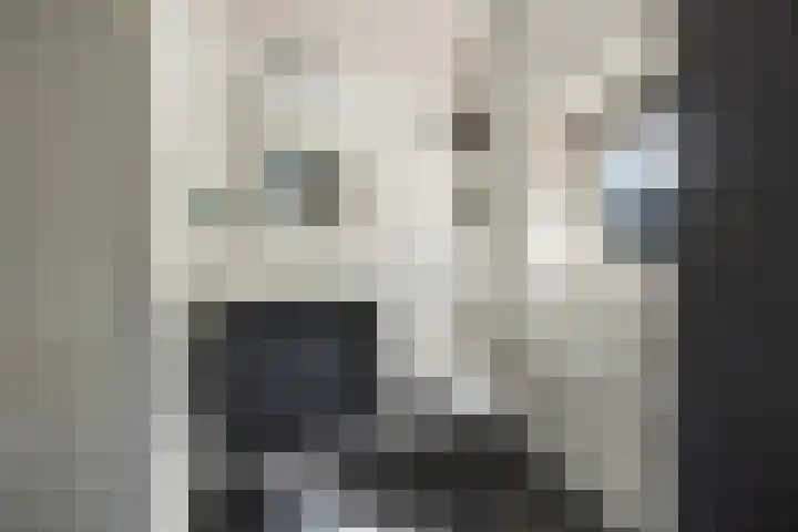 Poeldonk 20 Den Dungen thumbnail 15