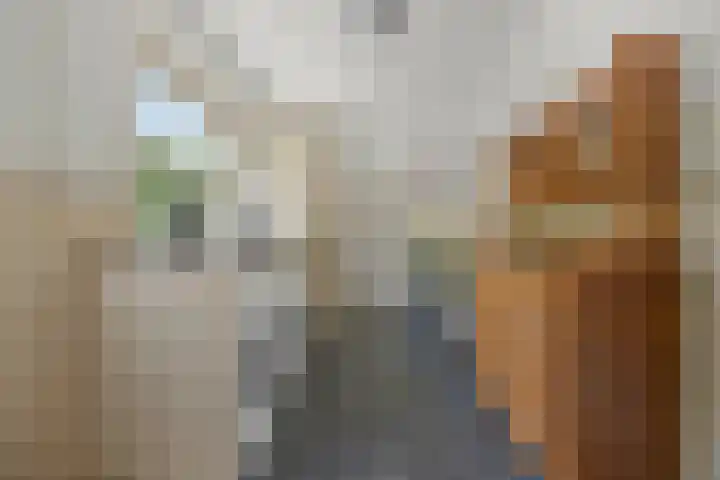 Poeldonk 20 Den Dungen thumbnail 18