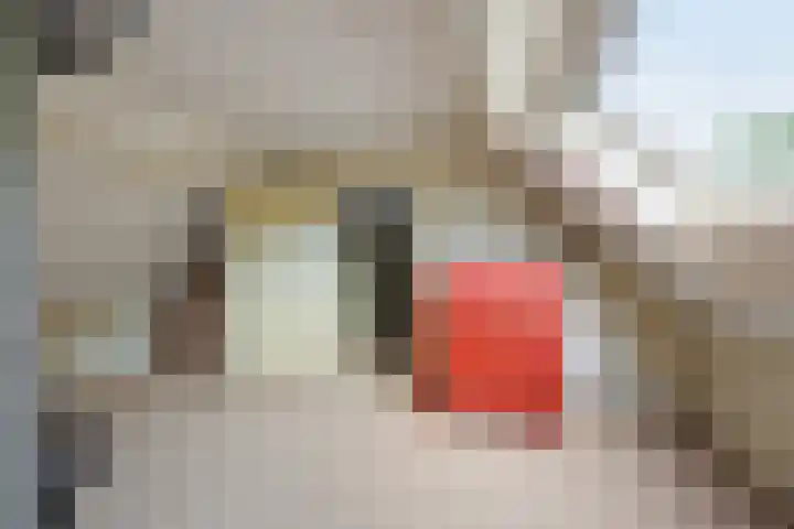 Poeldonk 20 Den Dungen thumbnail 25