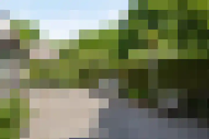 Poeldonk 20 Den Dungen thumbnail 29