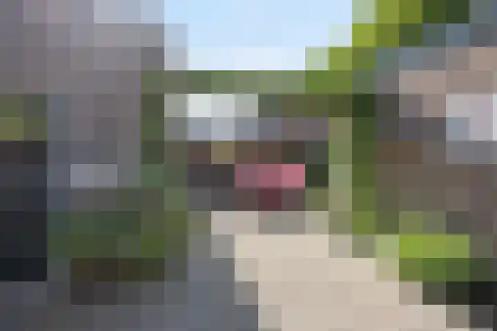 Poeldonk 20 Den Dungen thumbnail 30