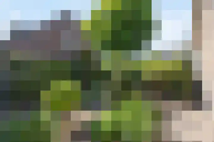 Poeldonk 20 Den Dungen thumbnail 31