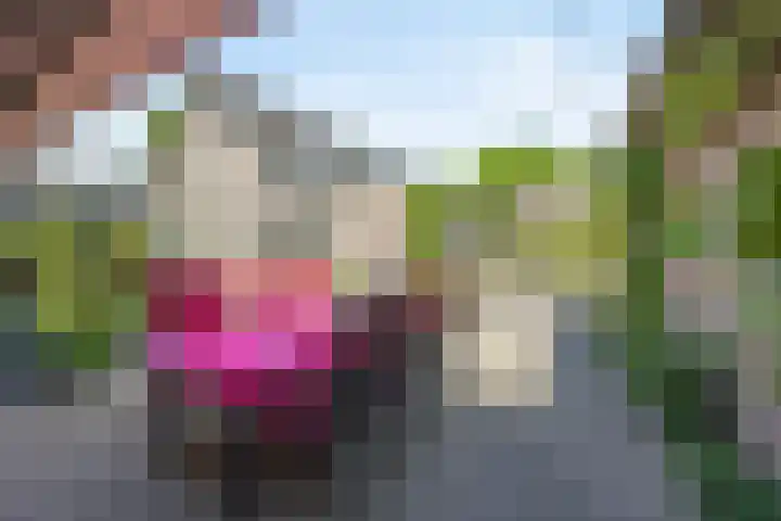 Poeldonk 20 Den Dungen thumbnail 32