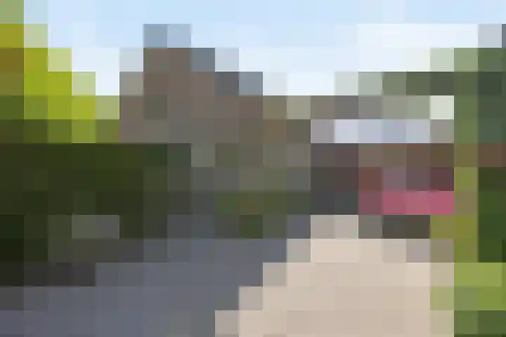 Poeldonk 20 Den Dungen thumbnail 33