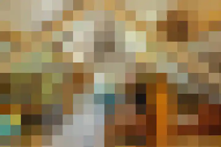 Poeldonk 20 Den Dungen thumbnail 34