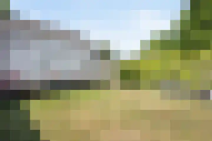 Poeldonk 20 Den Dungen thumbnail 35