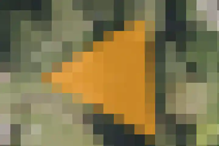 Poeldonk 20 Den Dungen thumbnail 36