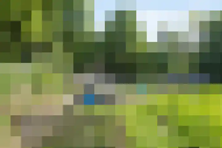 Poeldonk 20 Den Dungen thumbnail 38
