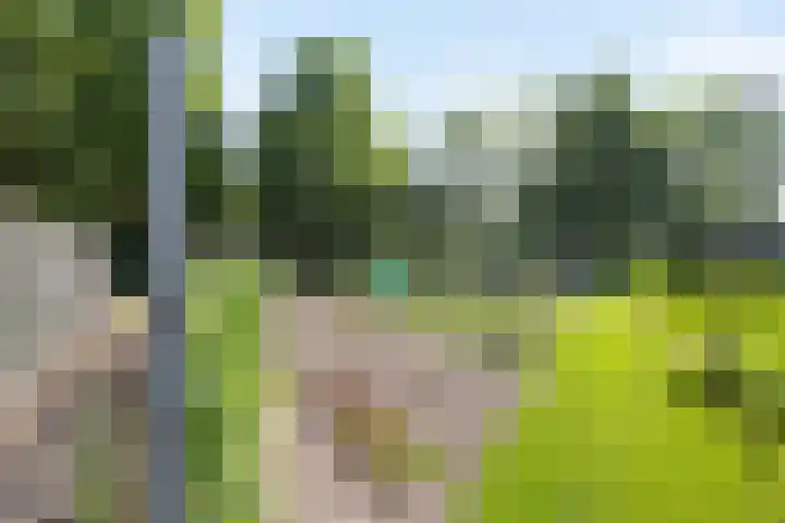 Poeldonk 20 Den Dungen thumbnail 40
