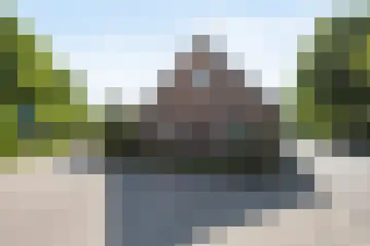 Poeldonk 20 Den Dungen thumbnail 43
