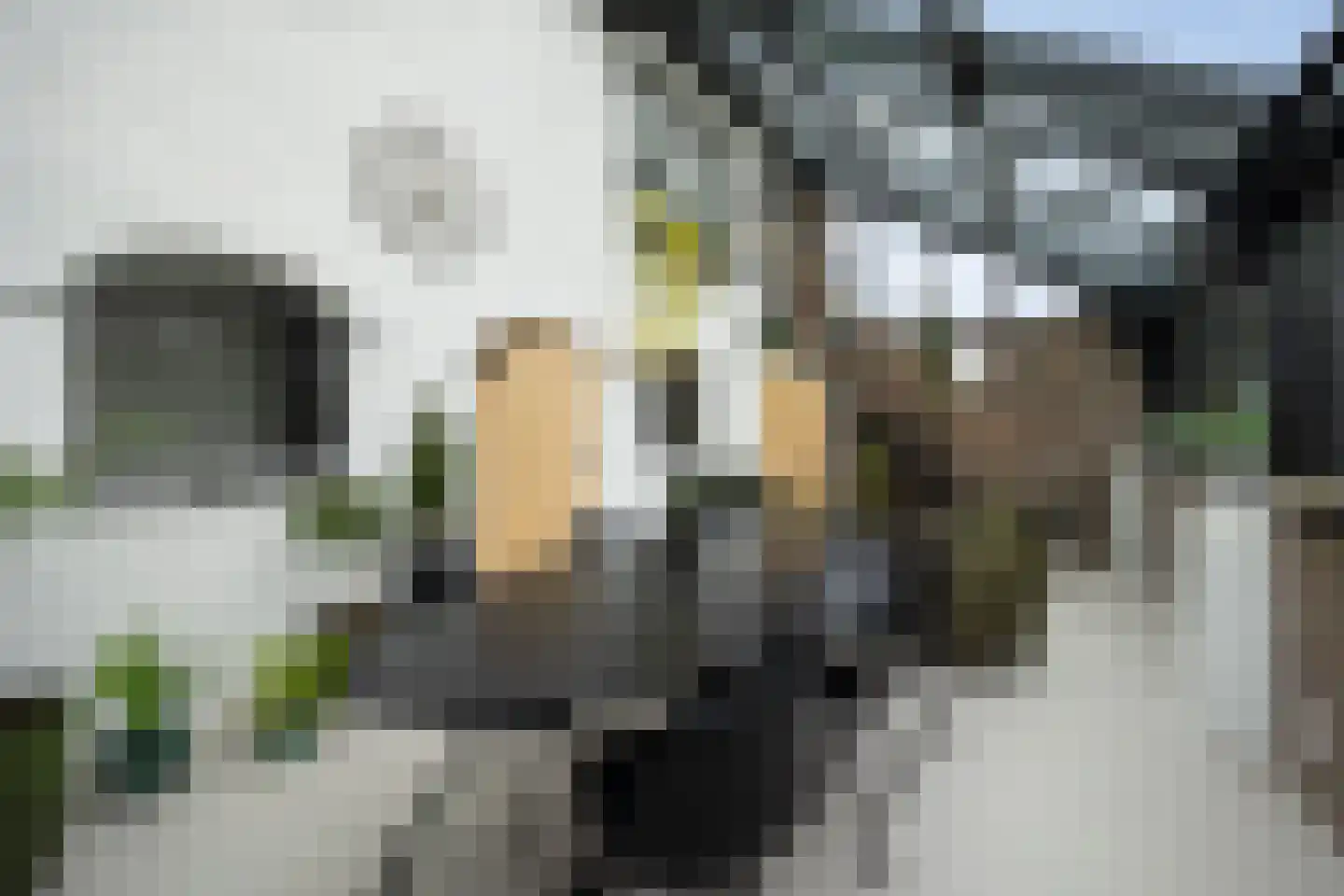 Poeldonk 25 Den Dungen thumbnail 18