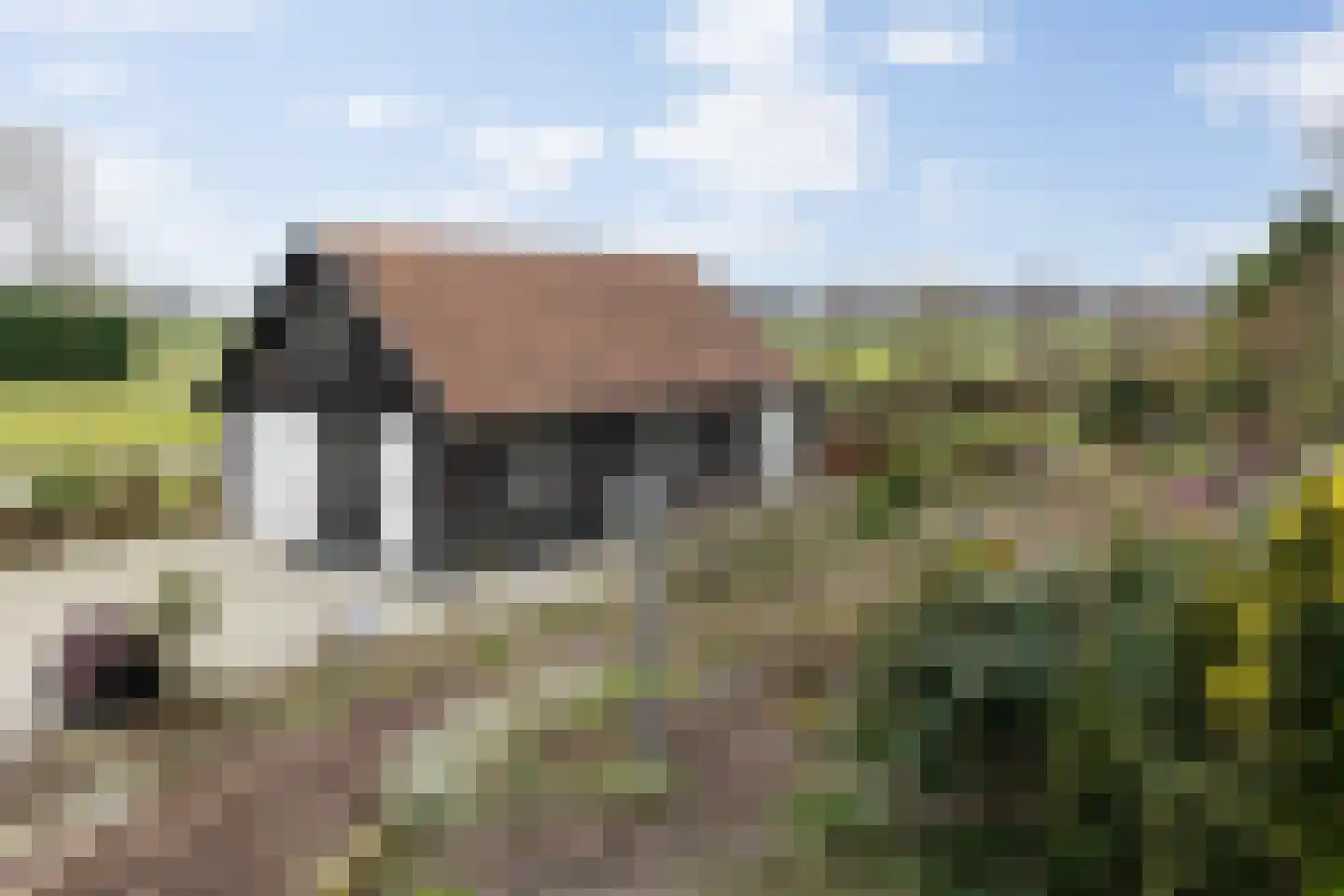 Poeldonk 25 Den Dungen thumbnail 31