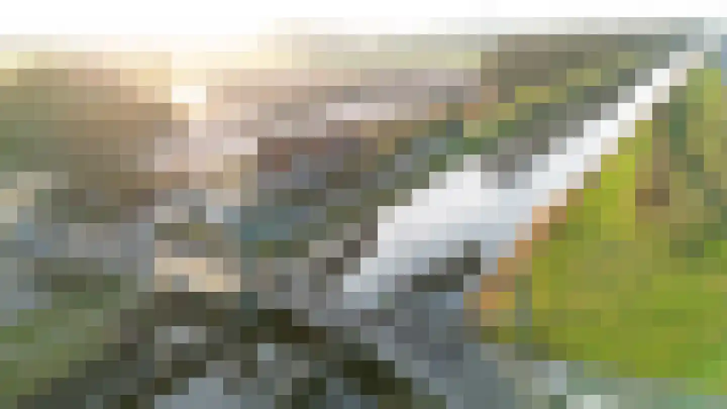 Poeldonk 25 Den Dungen thumbnail 36