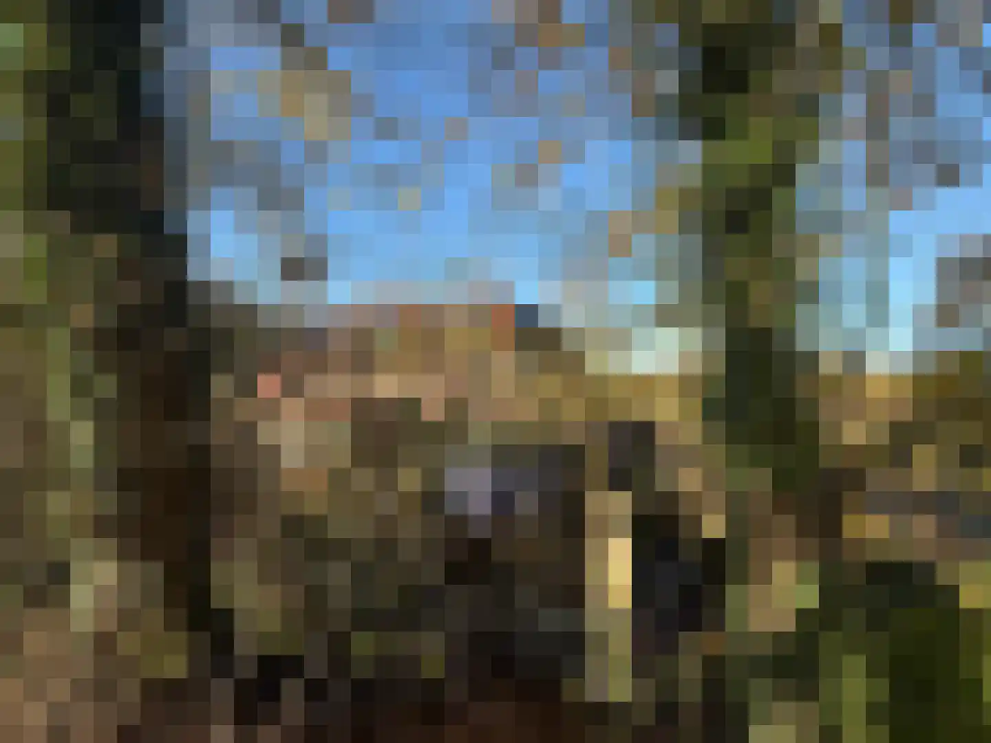 Poeldonk 32 A Den Dungen thumbnail 10