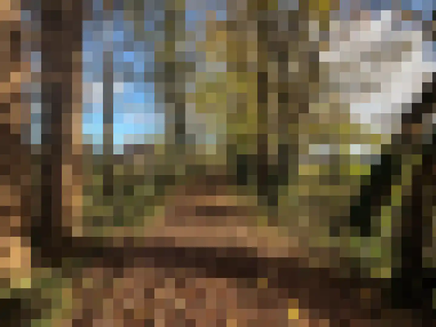 Poeldonk 32 A Den Dungen thumbnail 8