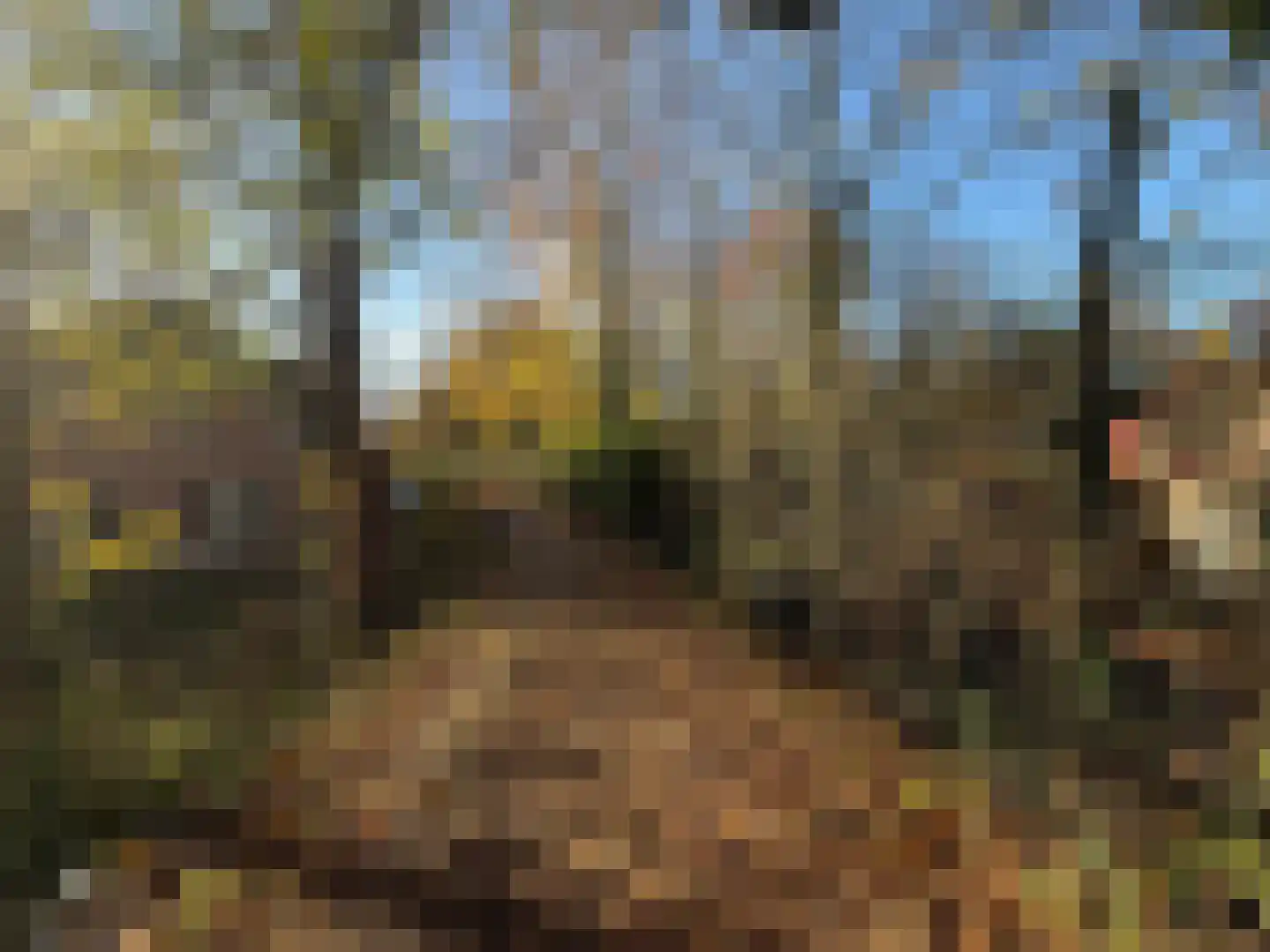 Poeldonk 32 A Den Dungen thumbnail 9